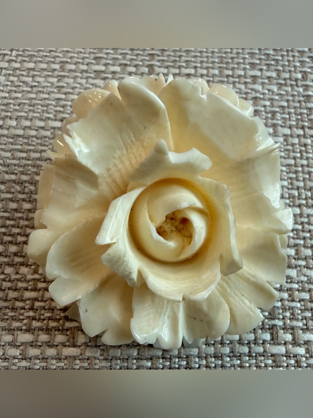 Carved Cream Rose Celluloid Very Vintage Brooch - Picture 6 of 14